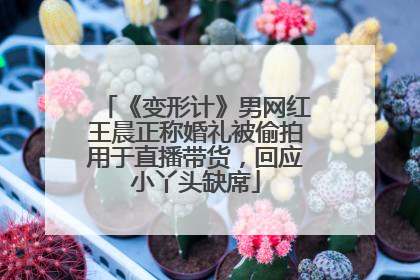 《变形计》男网红王晨正称婚礼被偷拍用于直播带货，回应小丫头缺席