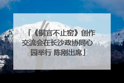 《铜官不止窑》创作交流会在长沙政协同心园举行 陈刚出席