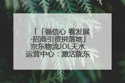「强信心 看发展·招商引资拼落地」京东物流JDL天水运营中心：激活陇东南区域经济新引擎