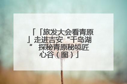 「旅发大会看青原」走进吉安“千岛湖” 探秘青原秘境匠心谷（图）