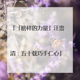 「榜样的力量」汪贵清：五十载巧手仁心