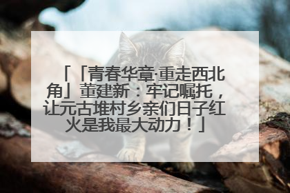 「青春华章·重走西北角」董建新：牢记嘱托，让元古堆村乡亲们日子红火是我最大动力！