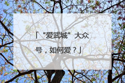 “爱武城”大众号，如何爱？