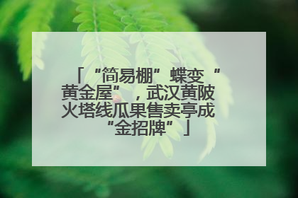 “简易棚”蝶变“黄金屋”，武汉黄陂火塔线瓜果售卖亭成“金招牌”
