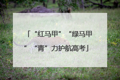 “红马甲”“绿马甲”“青”力护航高考
