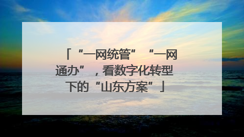 “一网统管”“一网通办”，看数字化转型下的“山东方案”
