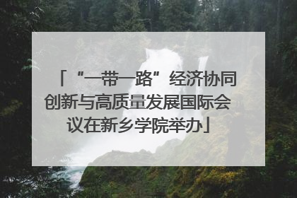 “一带一路”经济协同创新与高质量发展国际会议在新乡学院举办