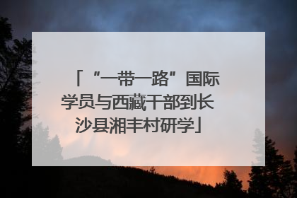 “一带一路”国际学员与西藏干部到长沙县湘丰村研学