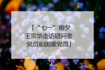 “七一”前夕 王宗华走访慰问老党员和困难党员