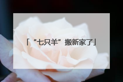 “七只羊”搬新家了