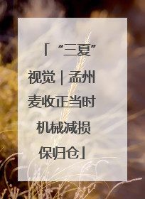 “三夏”视觉｜孟州麦收正当时 机械减损保归仓