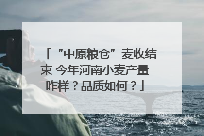 “中原粮仓”麦收结束 今年河南小麦产量咋样？品质如何？