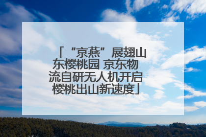 “京燕”展翅山东樱桃园 京东物流自研无人机开启樱桃出山新速度