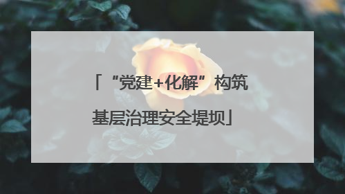 “党建+化解”构筑基层治理安全堤坝