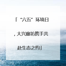 “六五”环境日，大兴廊坊携手共赴生态之约