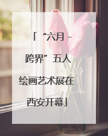 “六月 - 跨界”五人绘画艺术展在西安开幕