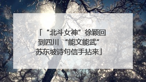“北斗女神”徐颖回到四川 “能文能武”苏东坡诗句信手拈来