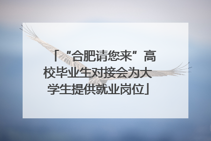 “合肥请您来”高校毕业生对接会为大学生提供就业岗位