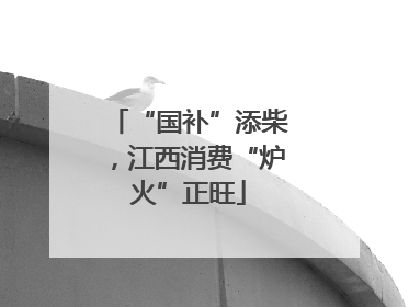 “国补”添柴，江西消费“炉火”正旺
