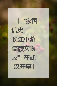 “家国信史——长江中游简牍文物展”在武汉开幕