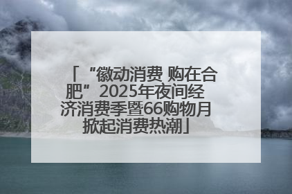 “徽动消费 购在合肥”2025年夜间经济消费季暨66购物月掀起消费热潮