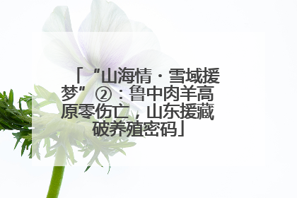 “山海情・雪域援梦”②：鲁中肉羊高原零伤亡，山东援藏破养殖密码