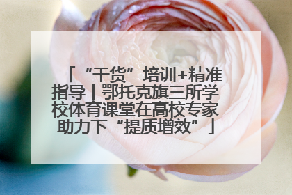 “干货”培训+精准指导丨鄂托克旗三所学校体育课堂在高校专家助力下“提质增效”