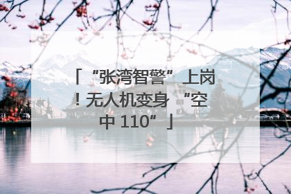 “张湾智警”上岗！无人机变身 “空中 110”