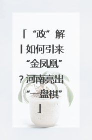“政”解丨如何引来“金凤凰”？河南亮出“一盘棋”