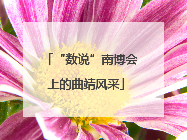 “数说”南博会上的曲靖风采