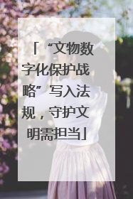 “文物数字化保护战略”写入法规，守护文明需担当