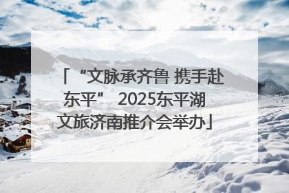 “文脉承齐鲁 携手赴东平” 2025东平湖文旅济南推介会举办