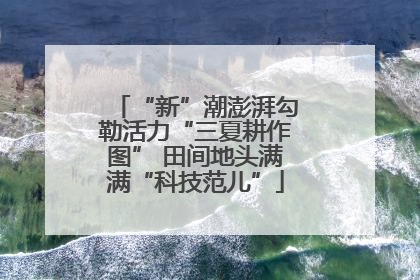 “新”潮澎湃勾勒活力“三夏耕作图” 田间地头满满“科技范儿”