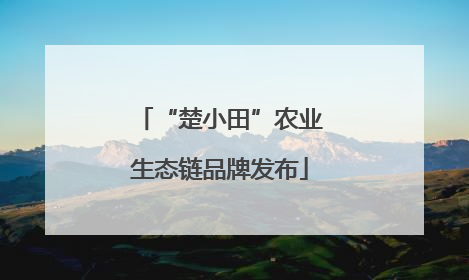 “楚小田”农业生态链品牌发布