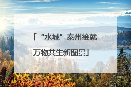 “水城”泰州绘就万物共生新图景
