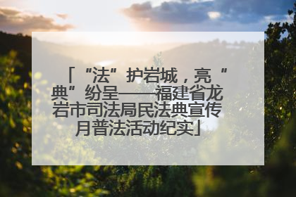 “法”护岩城，亮“典”纷呈——福建省龙岩市司法局民法典宣传月普法活动纪实