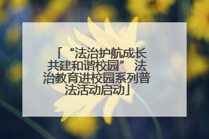 “法治护航成长 共建和谐校园” 法治教育进校园系列普法活动启动