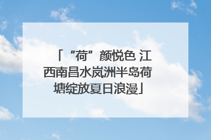 “荷”颜悦色 江西南昌水岚洲半岛荷塘绽放夏日浪漫