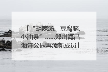 “胡辣汤、豆腐脑、小油条”……郑州海昌海洋公园再添新成员