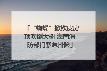“蝴蝶”掀铁皮房顶吹倒大树 海南消防部门紧急排险