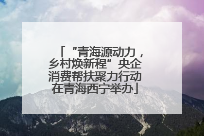 “青海源动力，乡村焕新程”央企消费帮扶聚力行动在青海西宁举办