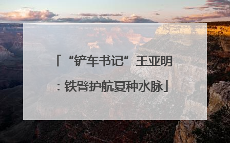 “铲车书记”王亚明：铁臂护航夏种水脉