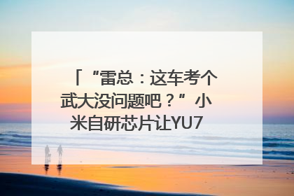 “雷总：这车考个武大没问题吧？”小米自研芯片让YU7会学习｜汽车科技