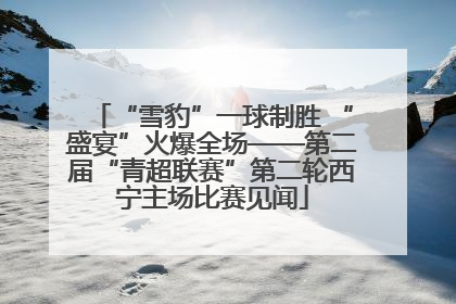 “雪豹”一球制胜 “盛宴”火爆全场——第二届“青超联赛”第二轮西宁主场比赛见闻
