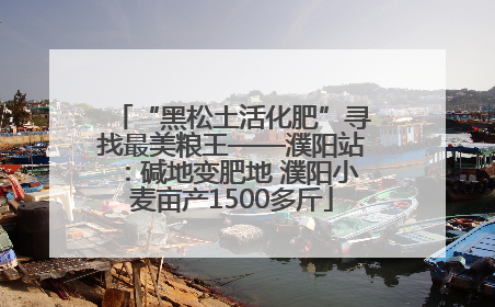 “黑松土活化肥”寻找最美粮王——濮阳站：碱地变肥地 濮阳小麦亩产1500多斤