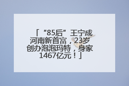 “85后”王宁成河南新首富，23岁创办泡泡玛特，身家1467亿元！