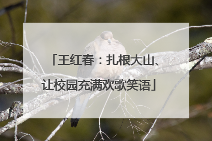 王红春：扎根大山、让校园充满欢歌笑语