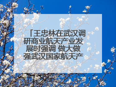 王忠林在武汉调研商业航天产业发展时强调 做大做强武汉国家航天产业基地 打造具有全国影响力的“中国星谷”