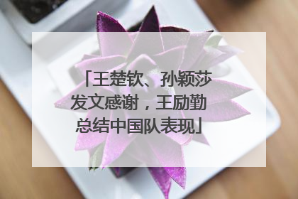 王楚钦、孙颖莎发文感谢，王励勤总结中国队表现