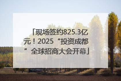 现场签约825.3亿元！2025“投资成都”全球招商大会开幕